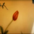 Ilkay Sencan & Buray - Mi Amor