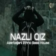 Nazli Qiz Caspian Pulse | Azerbaijani Ethno Bass House (Accordion Vibe)