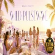 Beach Party - Wild Pulsewave