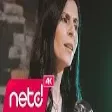 Deniz Güleç - Gide Gide Bir Söğüde Dayandım