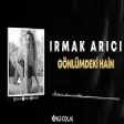 Irmak Arıcı - Gönlümdeki Hain ( Onur Colak Remix )