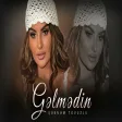 Şebnem Tovuzlu - Gelmedin
