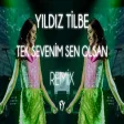 Yıldız Tilbe - Tek Sevenim Sen Olsan ( Fatih Yılmaz Remix )