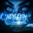 Ferdi Tayfur - Neyleyim Sen Yoksan Eğer Taner Yalçın & Murat Kırış Remix PEAK TIME TECHNO NEY