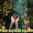 Pınar Başından Bulanır Psychedelic Anatolian Rock Cover Turkish Ritim House