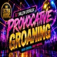 DJ Yalçın Erdilek - Provocative Groaning