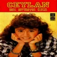 Ceylan - Gidecek Birgün