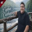 Ceyhun Qurbansoy - Dəli Tək Sevdiyim Remix) TikTok Trend