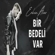 Erkan Acar - Bir Bedeli Var