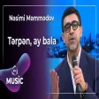 Nəsimi Məmmədov - Tərpən, ay bala