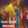 Zemri Vejseli - Dashni po lujshe (Official Audio)