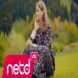 Jale Aydemir - Karanfil Eker Misin