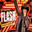 Flash - Zé Vaqueiro - Forró Atualizado