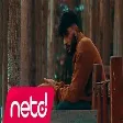 Rodi & MA-10 - Mazi