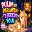 Pulim Ve Parlayan Teşekkür Yolu