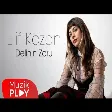 Elif Kozan - Delinin Zoru