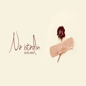 Javid Amir - Nə İstədin