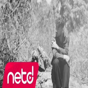 İsmail Uğur Örüç - Kış Çiçekleri