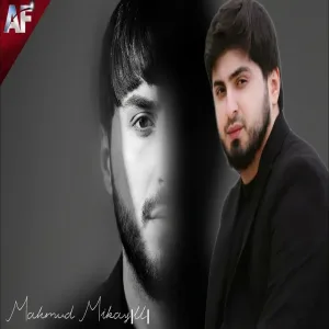 Mahmud Mikayıllı - Unudulmuş Biriyəm (Remix Arif Feda)