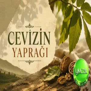 Cevizin Yaprağı (Türk Halk Müziği Enstrümental)