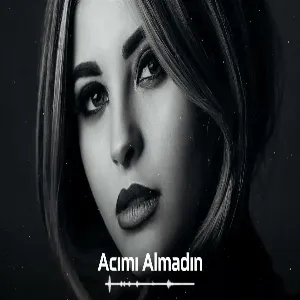 Shergi - Acımı Almadın (Hayit Murat Remix)