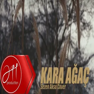 Kara Ağaç Sibel (Sezen Aksu Cover)