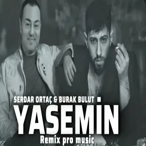 Serdar Ortaç & Burak Bulut - Yasemin (remix) (ai)