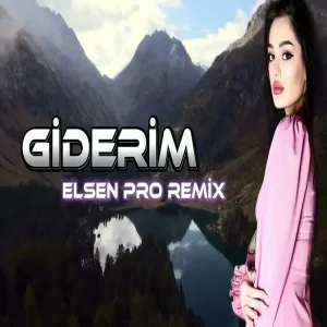 Elsen Pro - Giderim
