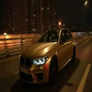 Hayit Murat - Wolves