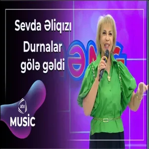 Sevda Əliqızı - Durnalar gölə gəldi