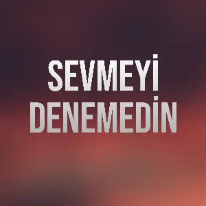 BLOK3 - Sevmeyi Denemedin mp3 indir yukle