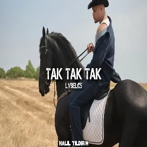 LVBELC5 - Tak Tak Tak ( Halil Yıldırım Remix ) Ah Sarılar Vah Sarışınlar