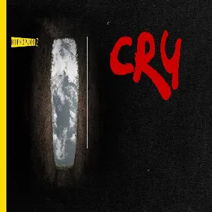 Joker - CRY