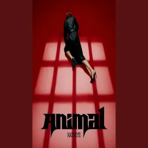 Animal