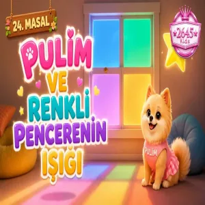 Pulim - Pulim Ve Renkli Pencerenin Işığı