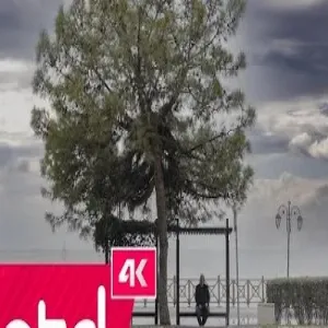 Emre Dikmen - ALTÜST