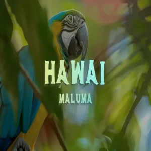 Maluma - Hawái