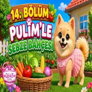 Pulim'le Sebze Bahçesi (14. Bölüm)