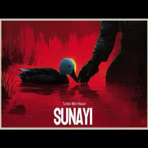 Turkish Ritim House - Sunayı Deli Gönül - Psychedelic Anatolian Rock Cover