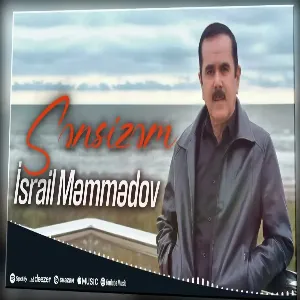 Israil Memmedov - Sensizem
