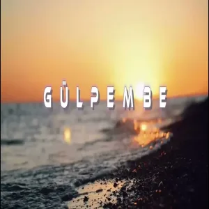 Elsen Pro - Gülpembe