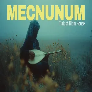 Turkish Ritim House - Mecnunum Leyla'mı Gördüm - Psychedelic Anatolian Rock Cover
