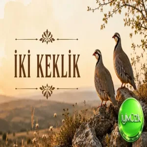İki Keklik (Sözsüz Efsane Türküler)