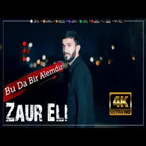 Zaur Eli - Bu Da Bir Alemdir