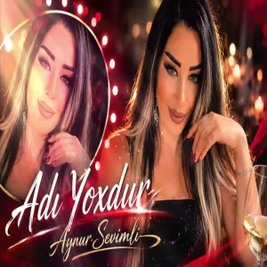 Aynur Sevimli - Adı Yoxdur