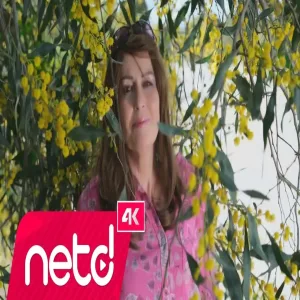 Hanife Aydı - Geldik Gidiyoruz