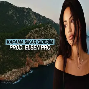 Elsen Pro - Sıkar Giderim (2026 246)