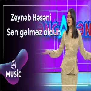 Zeynəb Həsəni - Sən gəlməz oldun