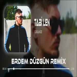 Organize - Tabi Len ( Erdem Düzgün Remix ) | Esmer Ata Atlar
