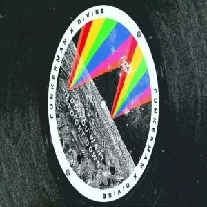 Funkerman & Divine - Do You Want To Get Down